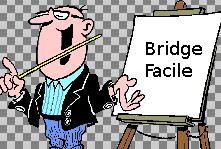 pub module initiation bridge